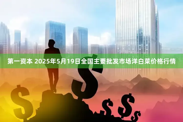 第一资本 2025年5月19日全国主要批发市场洋白菜价格行情