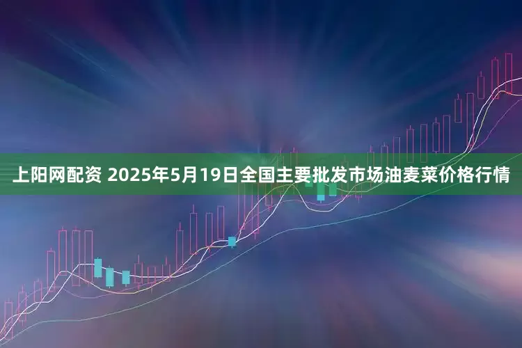 上阳网配资 2025年5月19日全国主要批发市场油麦菜价格行情