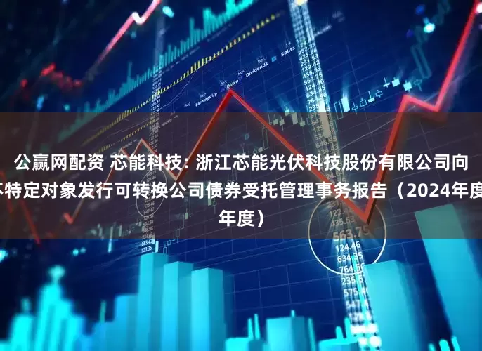 公赢网配资 芯能科技: 浙江芯能光伏科技股份有限公司向不特定对象发行可转换公司债券受托管理事务报告（2024年度）