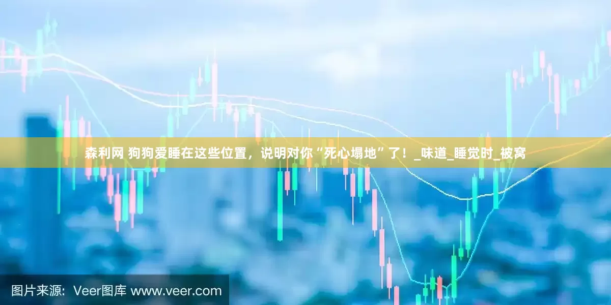 森利网 狗狗爱睡在这些位置，说明对你“死心塌地”了！_味道_睡觉时_被窝