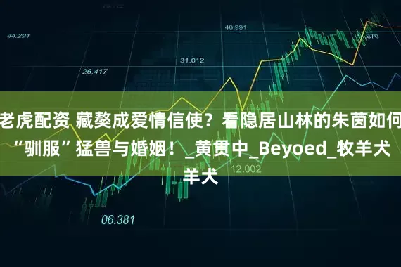 老虎配资 藏獒成爱情信使？看隐居山林的朱茵如何“驯服”猛兽与婚姻！_黄贯中_Beyoed_牧羊犬