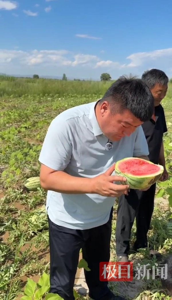 股顺网 网红“焖面哥”买7万斤滞销西瓜拉回城2元一个卖掉，虽亏万元以上但助农不讲成本