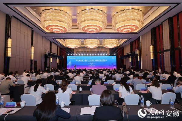 聚创配资 第三届中国（亳州）—RCEP中医药行业合作会议举行