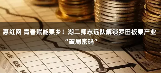 惠红网 青春赋能栗乡！湖二师志远队解锁罗田板栗产业 “破局密码”