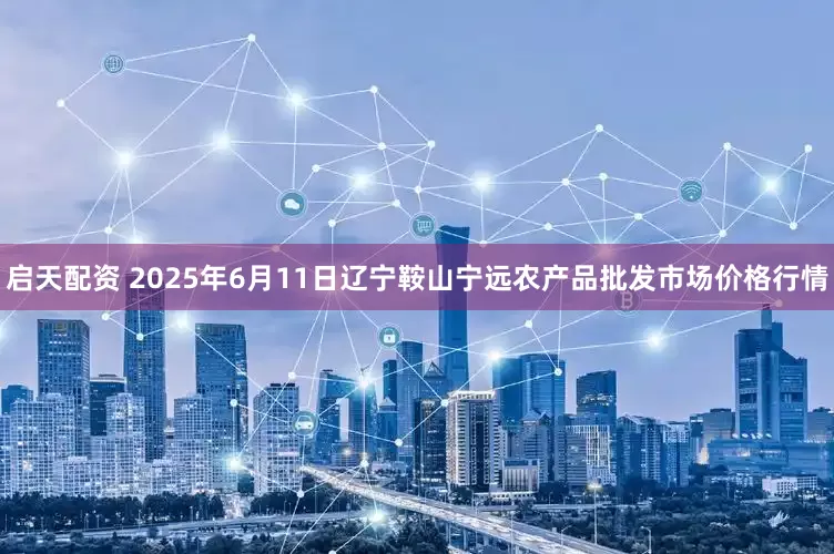 启天配资 2025年6月11日辽宁鞍山宁远农产品批发市场价格行情