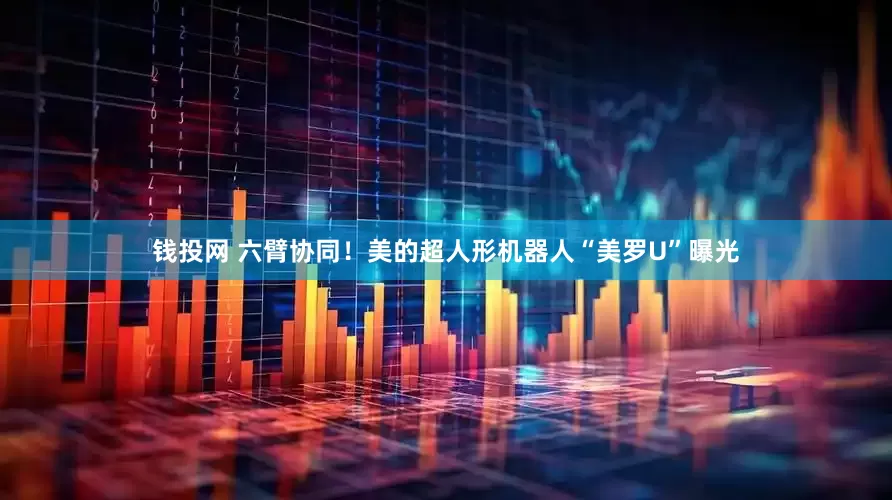 钱投网 六臂协同！美的超人形机器人“美罗U”曝光